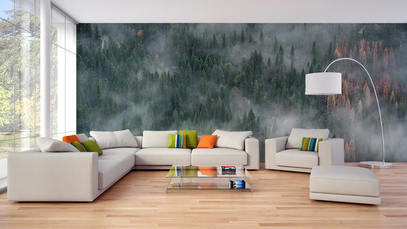 Foggy pine forest wallpaper mural for walls
