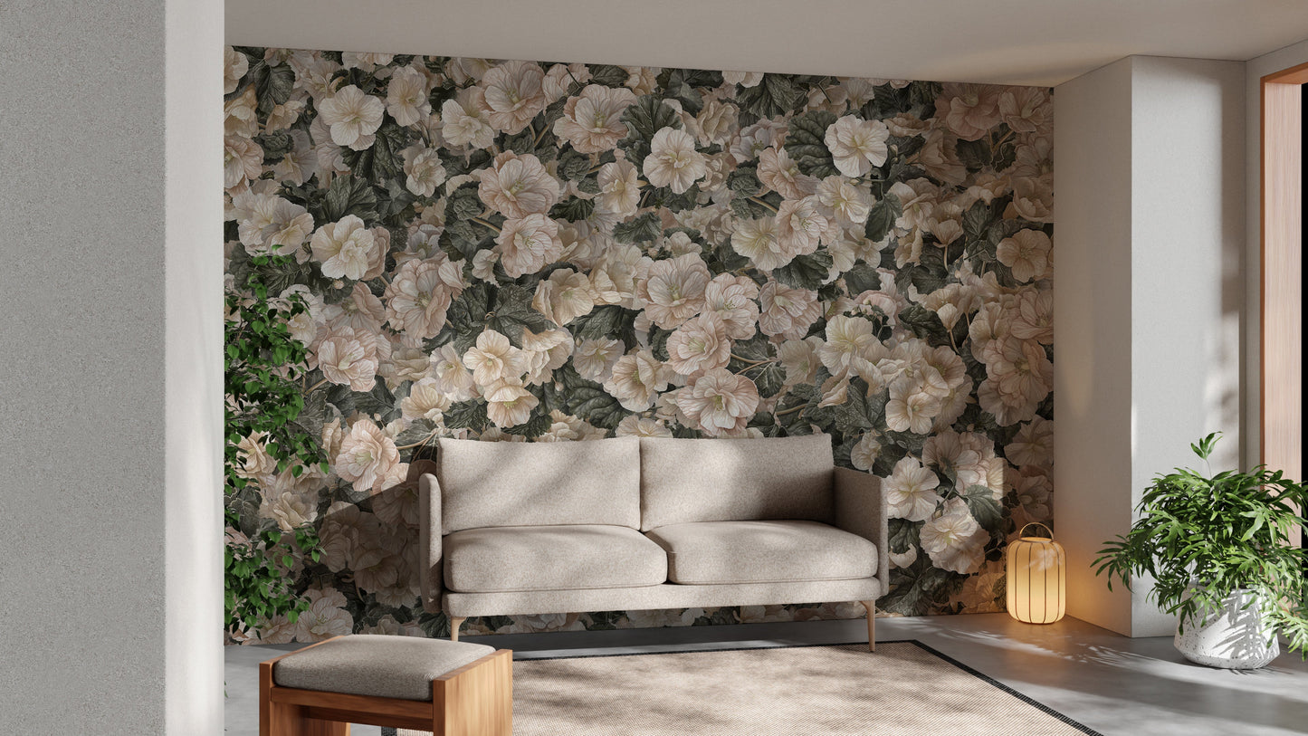 White Begonia Flower Wallpaper Murals - Giffywalls