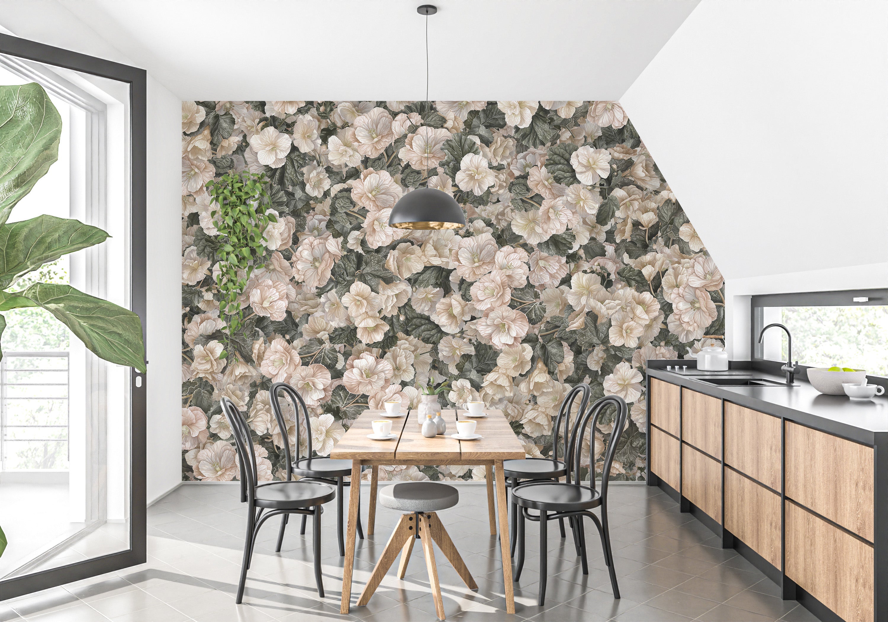 White Begonia Flower Wallpaper Murals - Giffywalls