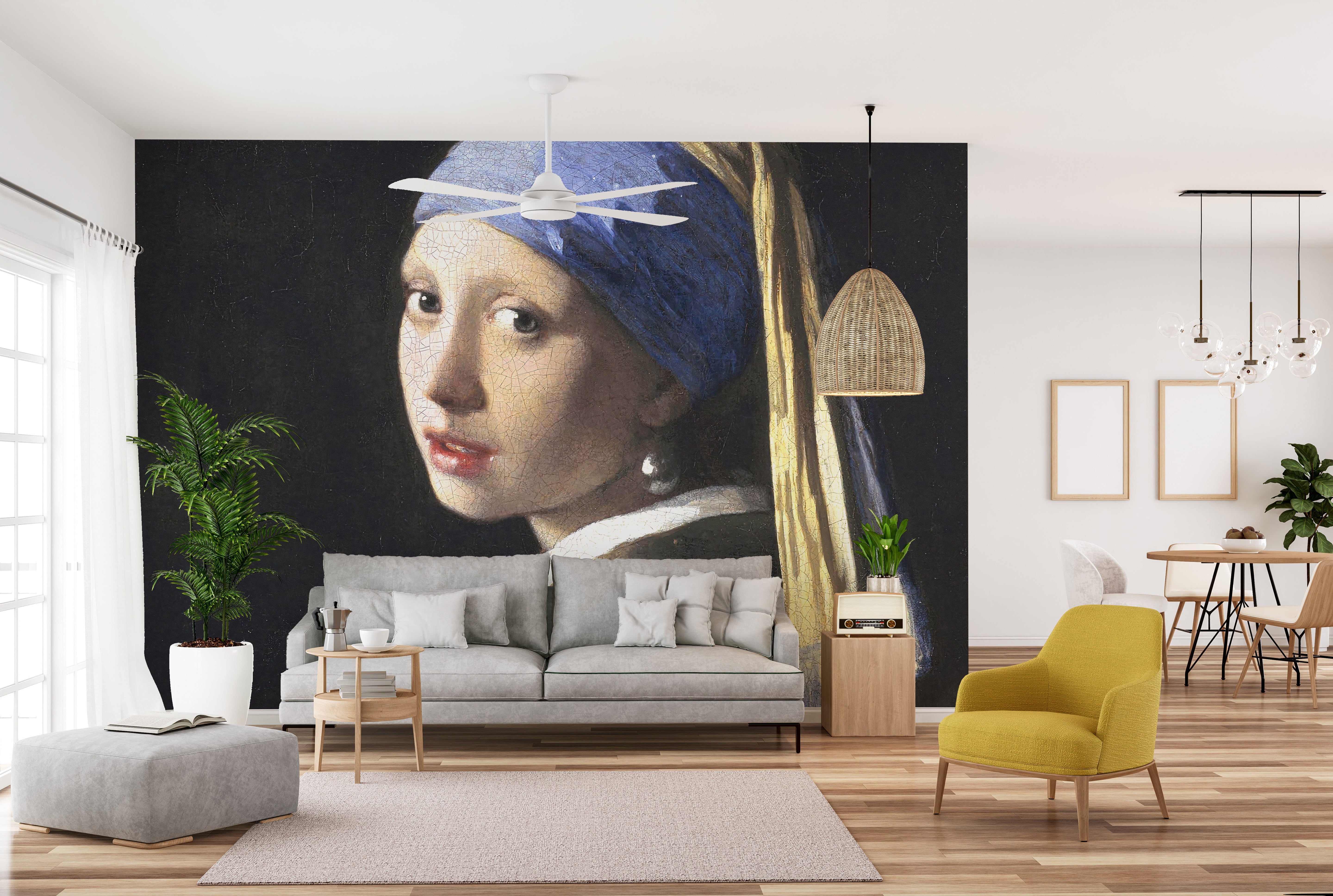 Girl Pearl Earring Wallpaper Murals - Giffywalls