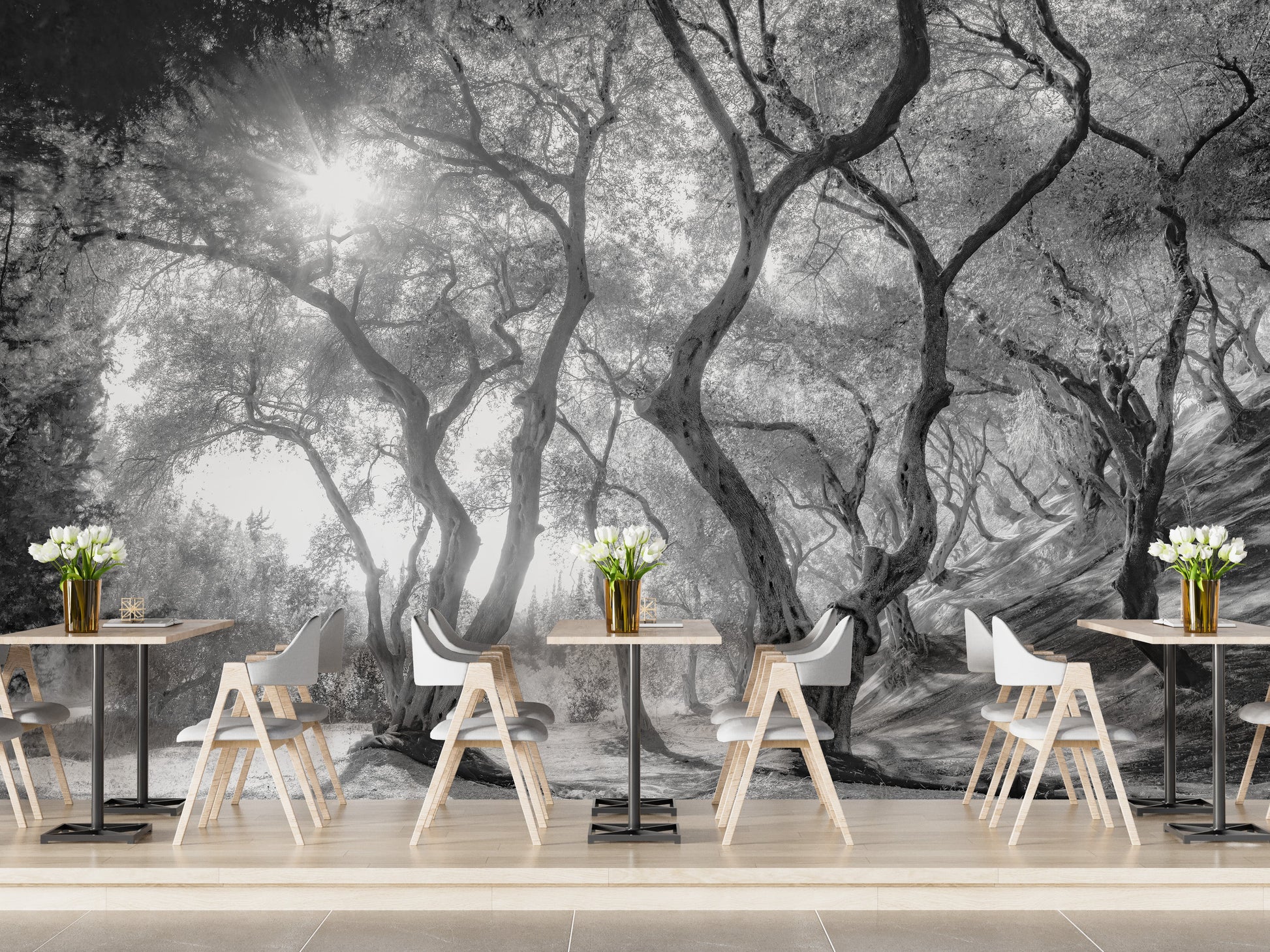 Black & White Natural Olive Groves Forest Wallpaper - Giffywalls