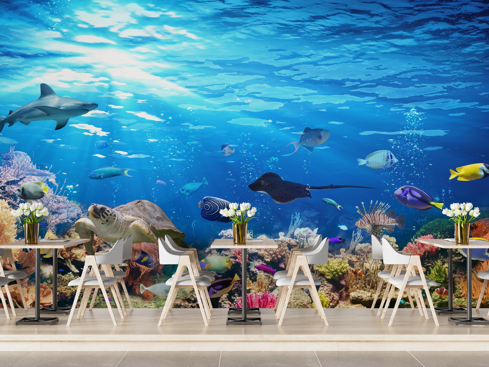 Deep Blue Sea Water with Corel Reef wallpaper Mural - Giffywalls