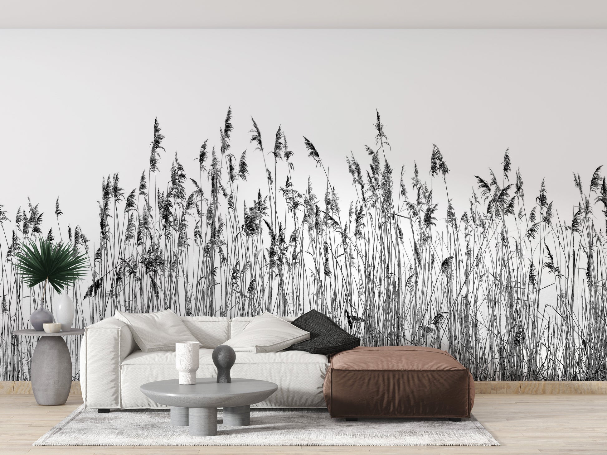 Black and white canebrake Wallpaper - Giffywalls