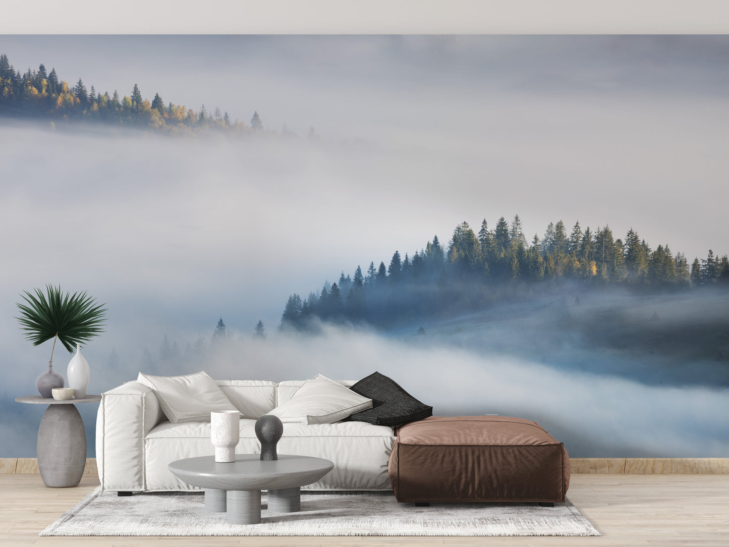 Foggy Misty Forest Maple Tree Wallpaper Murals - Giffywalls