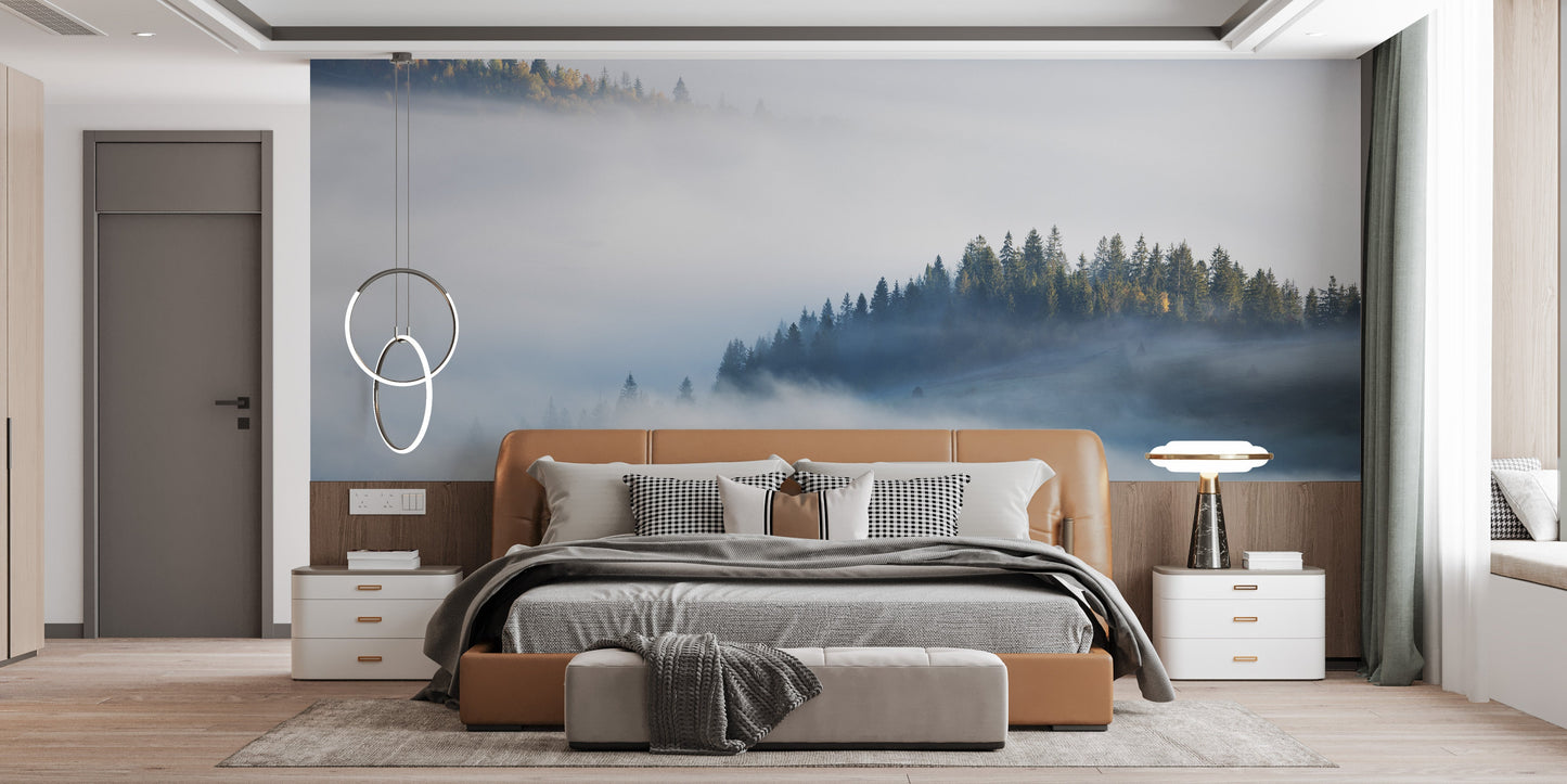 Foggy Misty Forest Maple Tree Wallpaper Murals - Giffywalls