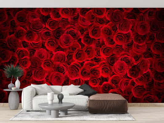 Red Rose Wall Mural
