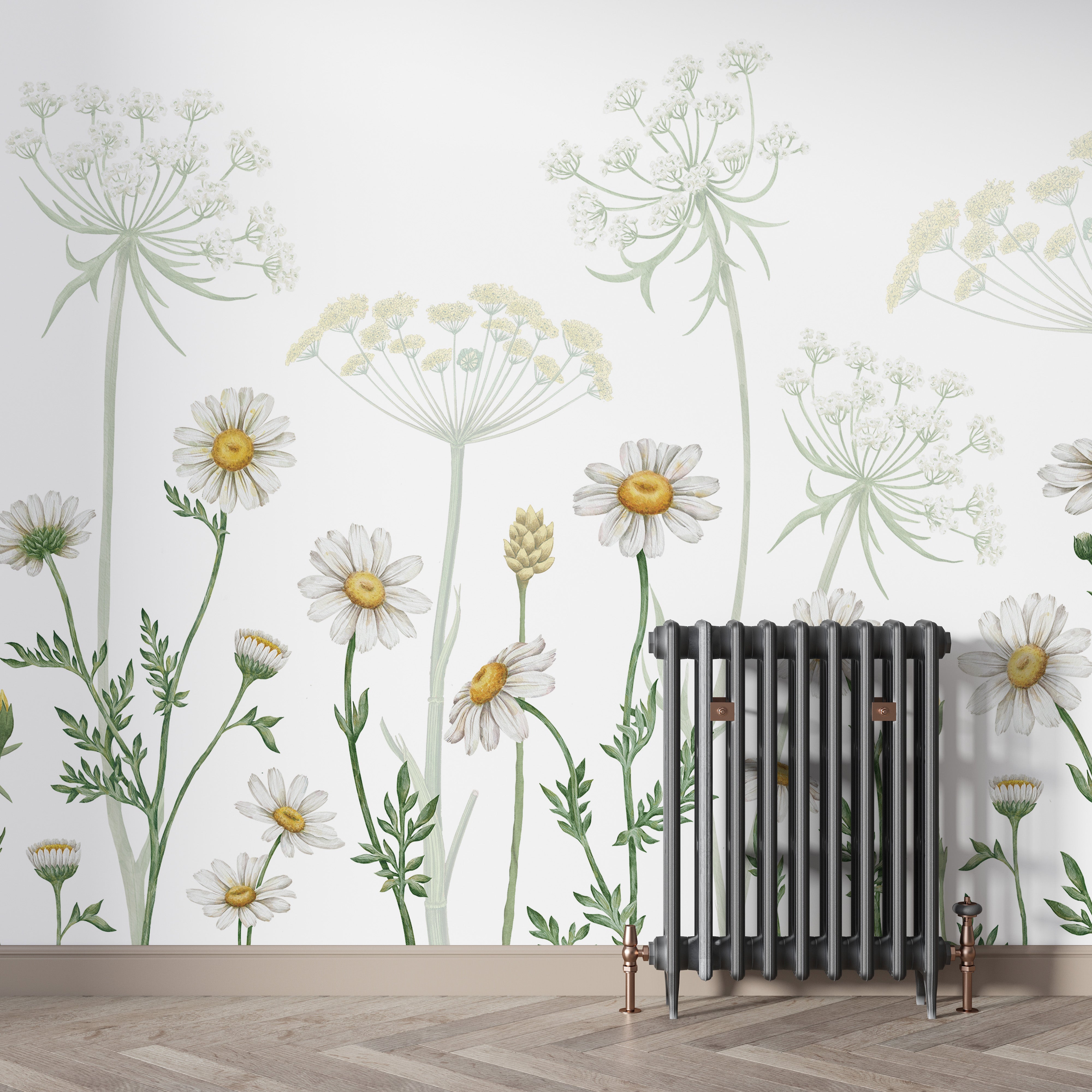 Dazzling Daisies Flower wallpaper - Giffywalls