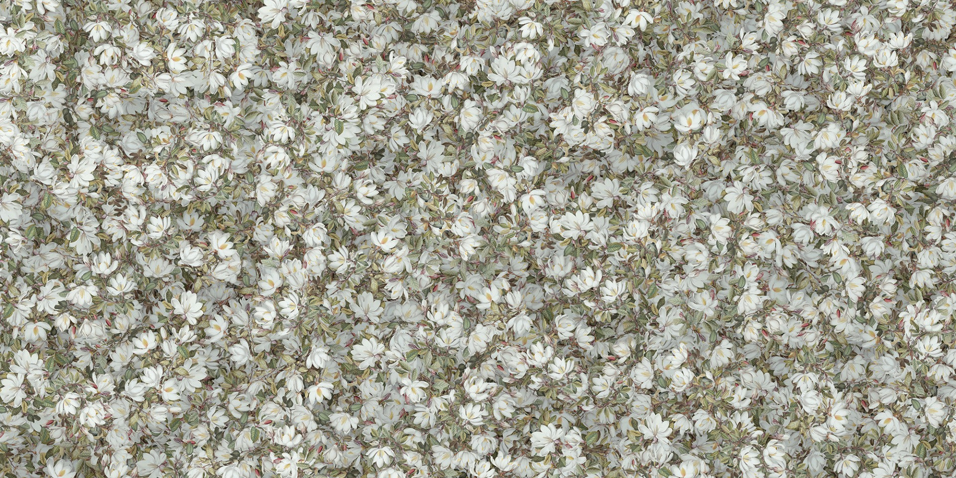 White Floral Wallpaper - Magnolia Design