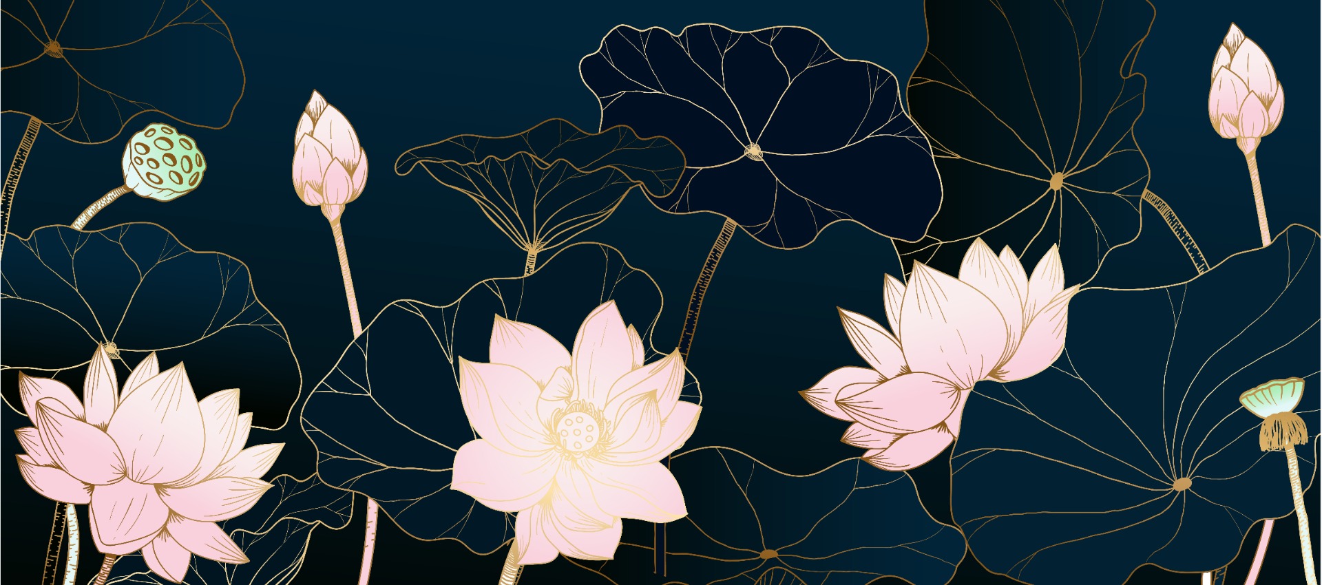 Lotus Garden Background Images HD Pictures and Wallpaper For Free Download   Pngtree
